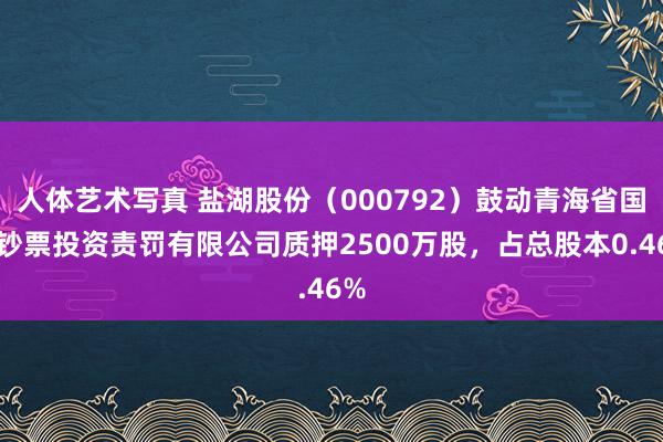 人体艺术写真 盐湖股份（000792）鼓动青海省国有钞票投资责罚有限公司质押2500万股，占总股本0.46%