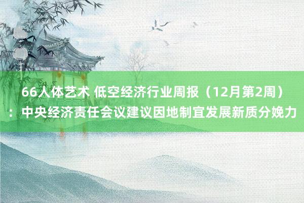 66人体艺术 低空经济行业周报（12月第2周）：中央经济责任会议建议因地制宜发展新质分娩力