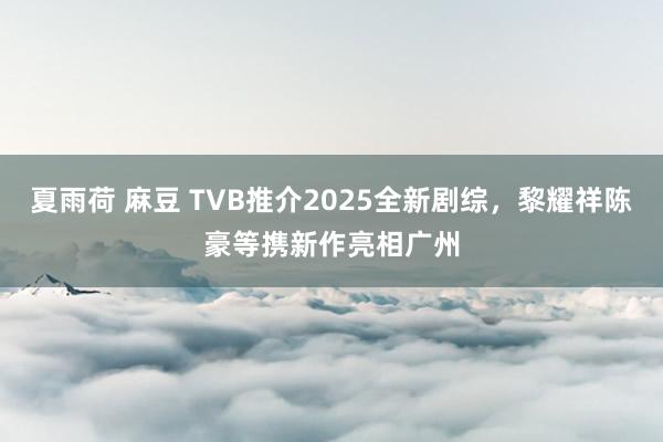 夏雨荷 麻豆 TVB推介2025全新剧综，黎耀祥陈豪等携新作亮相广州