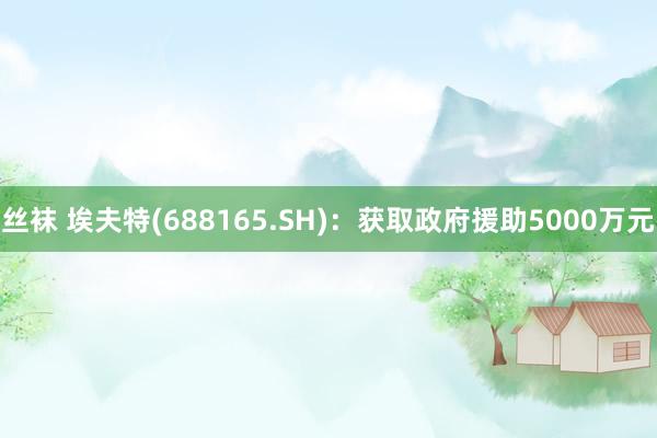 丝袜 埃夫特(688165.SH)：获取政府援助5000万元