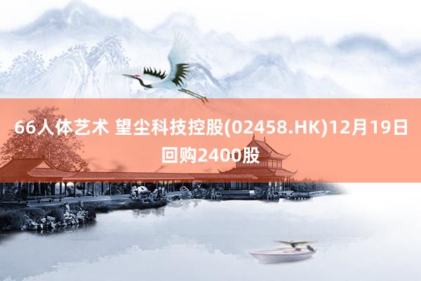 66人体艺术 望尘科技控股(02458.HK)12月19日回购2400股