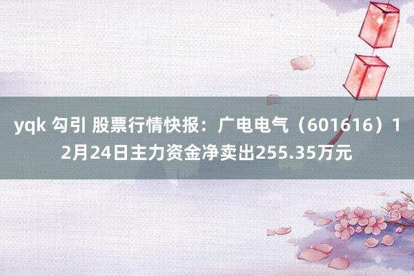 yqk 勾引 股票行情快报：广电电气（601616）12月24日主力资金净卖出255.35万元