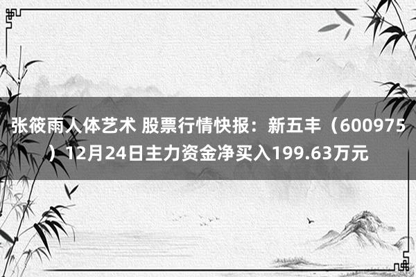 张筱雨人体艺术 股票行情快报：新五丰（600975）12月24日主力资金净买入199.63万元