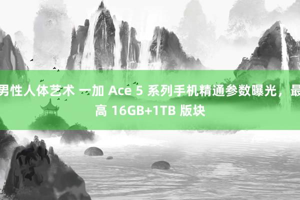 男性人体艺术 一加 Ace 5 系列手机精通参数曝光，最高 16GB+1TB 版块