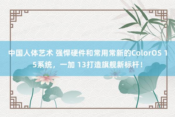 中国人体艺术 强悍硬件和常用常新的ColorOS 15系统，一加 13打造旗舰新标杆！