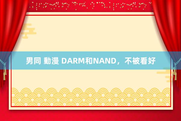 男同 動漫 DARM和NAND，不被看好