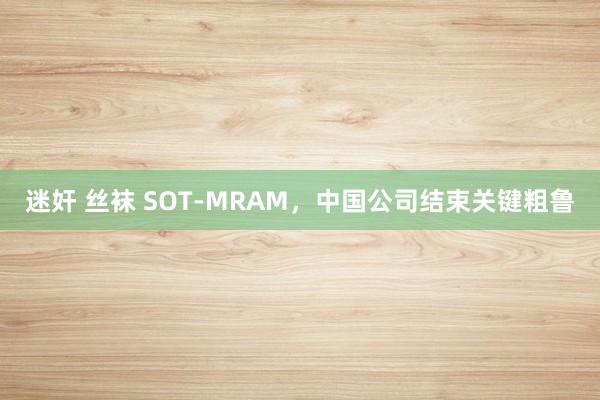 迷奸 丝袜 SOT-MRAM，中国公司结束关键粗鲁