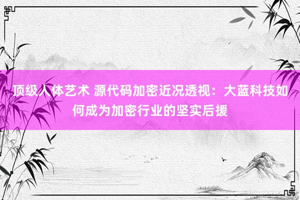 顶级人体艺术 源代码加密近况透视：大蓝科技如何成为加密行业的坚实后援