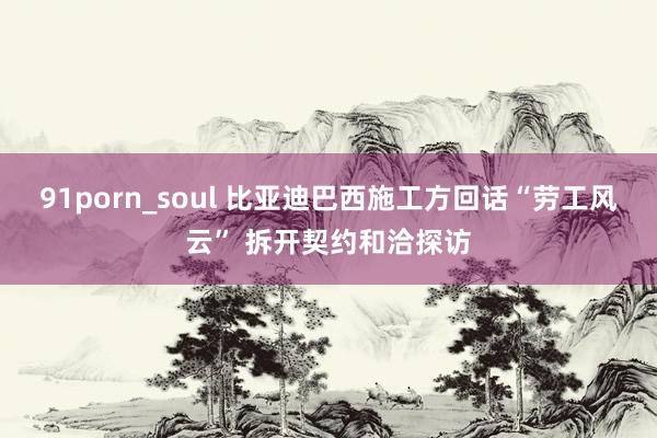 91porn_soul 比亚迪巴西施工方回话“劳工风云” 拆开契约和洽探访