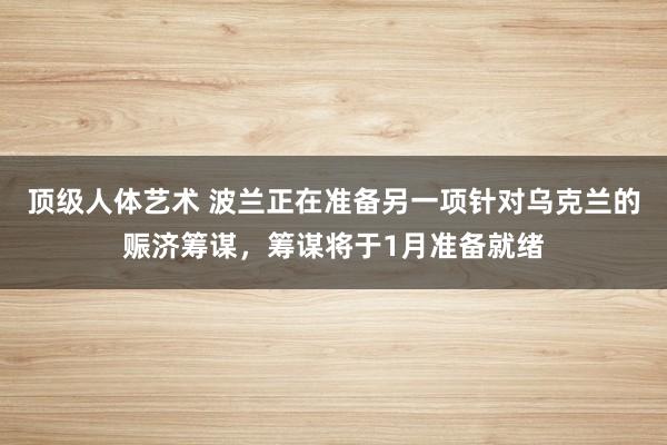 顶级人体艺术 波兰正在准备另一项针对乌克兰的赈济筹谋，筹谋将于1月准备就绪