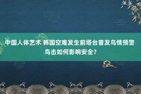 中国人体艺术 韩国空难发生前塔台曾发鸟情预警 鸟击如何影响安全？