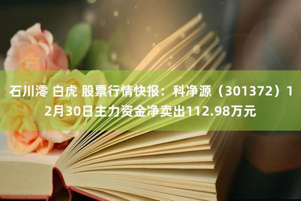 石川澪 白虎 股票行情快报：科净源（301372）12月30日主力资金净卖出112.98万元