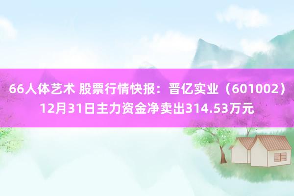 66人体艺术 股票行情快报：晋亿实业（601002）12月31日主力资金净卖出314.53万元