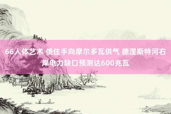 66人体艺术 俄住手向摩尔多瓦供气 德涅斯特河右岸电力缺口预测达600兆瓦