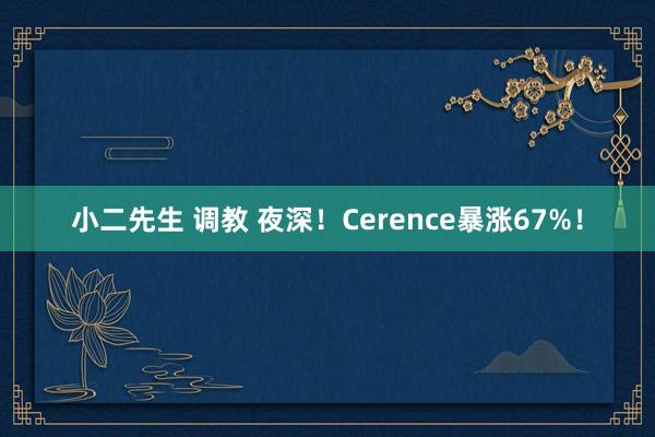 小二先生 调教 夜深！Cerence暴涨67%！