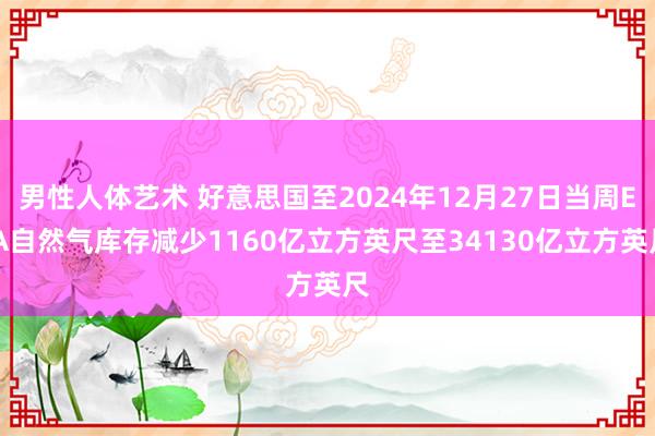 男性人体艺术 好意思国至2024年12月27日当周EIA自然气库存减少1160亿立方英尺至34130亿立方英尺