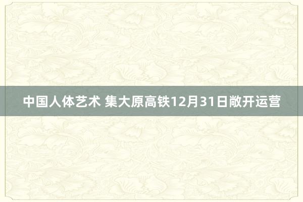 中国人体艺术 集大原高铁12月31日敞开运营