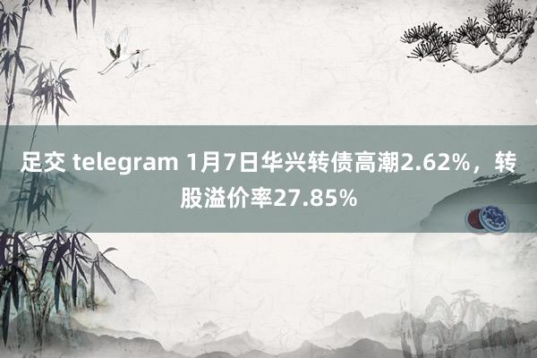 足交 telegram 1月7日华兴转债高潮2.62%，转股溢价率27.85%