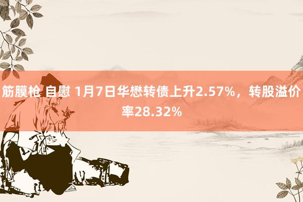 筋膜枪 自慰 1月7日华懋转债上升2.57%，转股溢价率28.32%