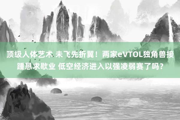 顶级人体艺术 未飞先折翼！两家eVTOL独角兽接踵恳求歇业 低空经济进入以强凌弱赛了吗？