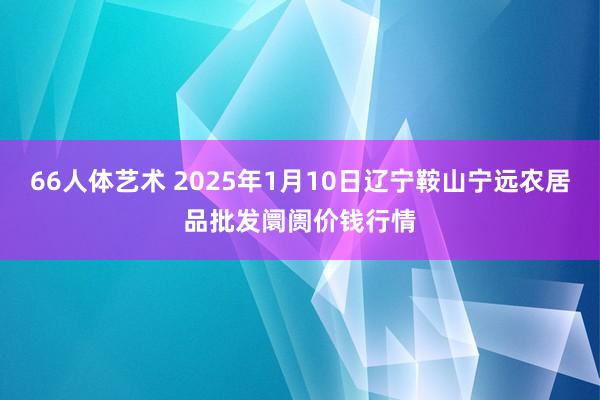 66人体艺术 2025年1月10日辽宁鞍山宁远农居品批发阛阓价钱行情