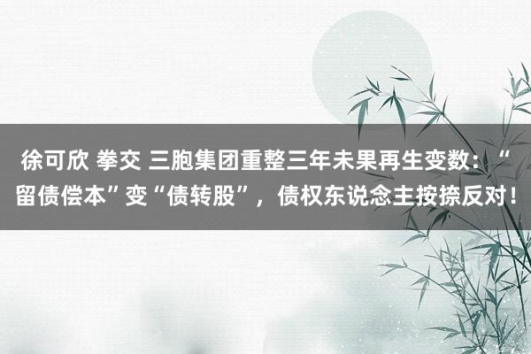 徐可欣 拳交 三胞集团重整三年未果再生变数：“留债偿本”变“债转股”，债权东说念主按捺反对！