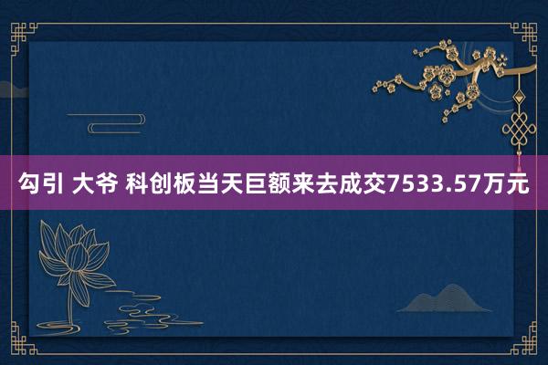 勾引 大爷 科创板当天巨额来去成交7533.57万元