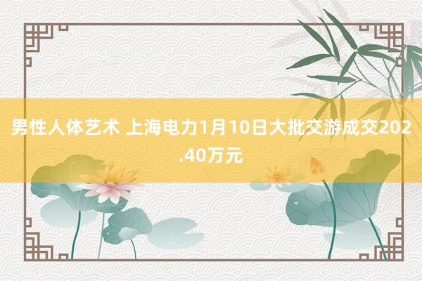 男性人体艺术 上海电力1月10日大批交游成交202.40万元