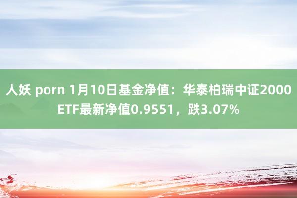 人妖 porn 1月10日基金净值：华泰柏瑞中证2000ETF最新净值0.9551，跌3.07%