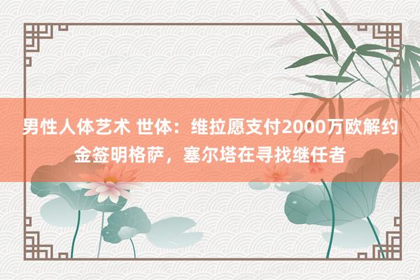 男性人体艺术 世体：维拉愿支付2000万欧解约金签明格萨，塞尔塔在寻找继任者