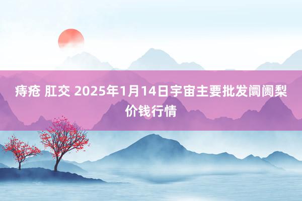 痔疮 肛交 2025年1月14日宇宙主要批发阛阓梨价钱行情