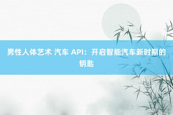 男性人体艺术 汽车 API：开启智能汽车新时期的钥匙