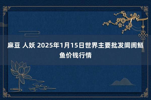 麻豆 人妖 2025年1月15日世界主要批发阛阓鲢鱼价钱行情