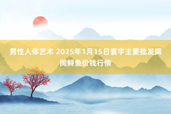 男性人体艺术 2025年1月15日寰宇主要批发阛阓鲟鱼价钱行情