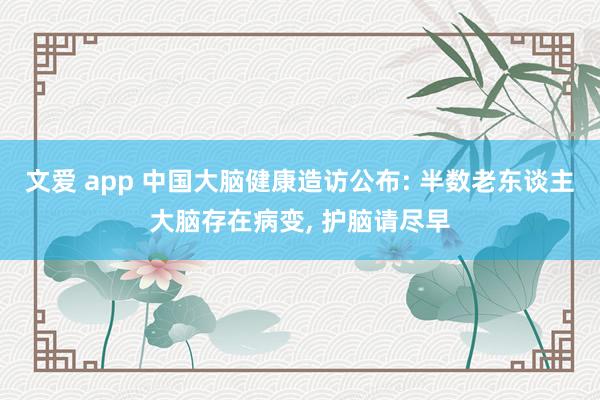 文爱 app 中国大脑健康造访公布: 半数老东谈主大脑存在病变， 护脑请尽早