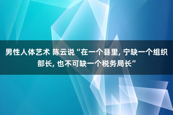 男性人体艺术 陈云说“在一个县里， 宁缺一个组织部长， 也不可缺一个税务局长”