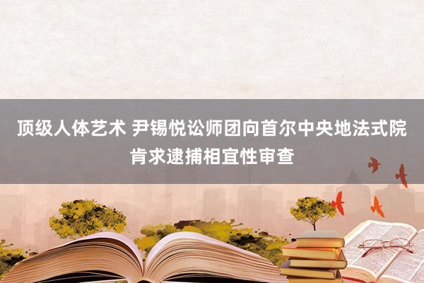 顶级人体艺术 尹锡悦讼师团向首尔中央地法式院肯求逮捕相宜性审查