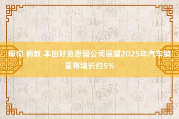 母狗 调教 本田好意思国公司展望2025年汽车销量将增长约5%